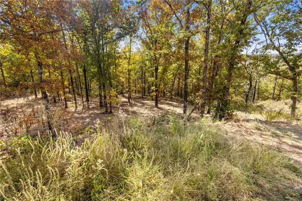 Harrison, AR 72601,Lot 19 Restore Ridge