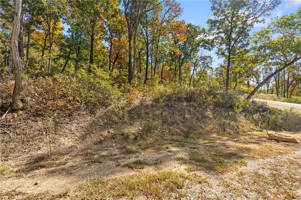 Harrison, AR 72601,Lot 48 Restore Ridge