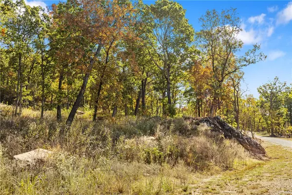 Harrison, AR 72601,Lot 52 Restore Ridge