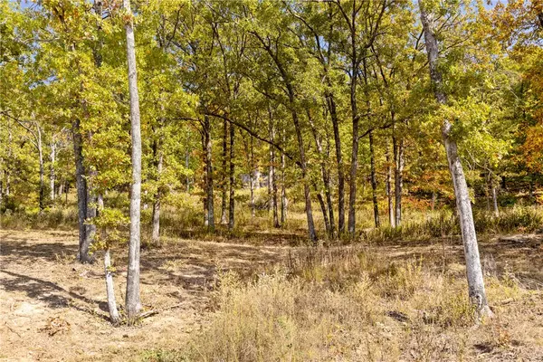 Harrison, AR 72601,Lot 63 Restore Ridge