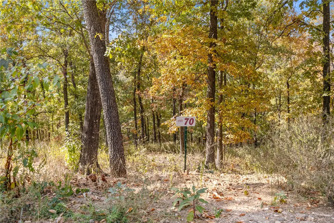 Harrison, AR 72601,Lot 70 Restore Ridge
