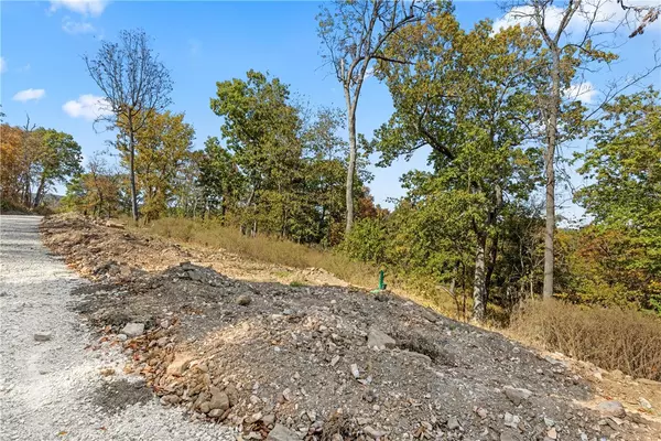 Harrison, AR 72601,Lot 91 Restore Cir