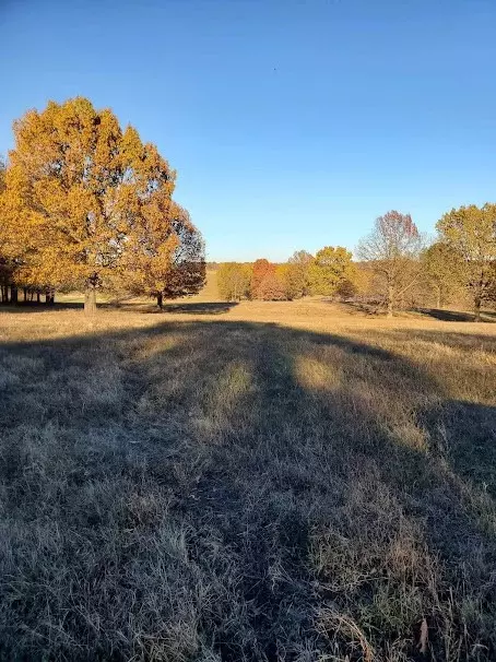 Pierce City, MO 65723,FR 1020