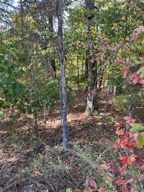 Marlborough Dr, Bella Vista, AR 72714