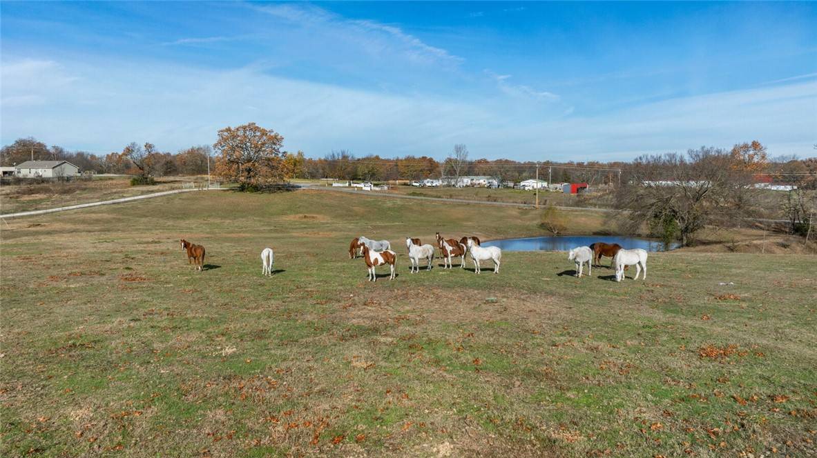 13677 N Mount Olive Rd, Gravette, AR 72736