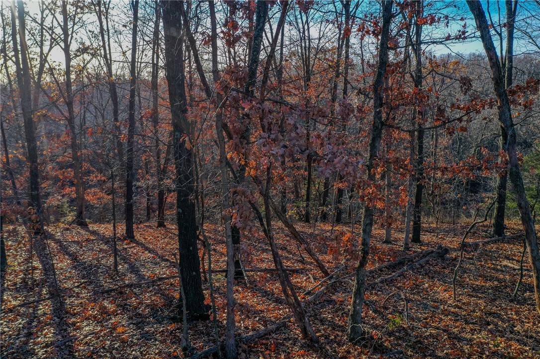 Lots 21 & 22 Tummell Dr, Bella Vista, AR 72715