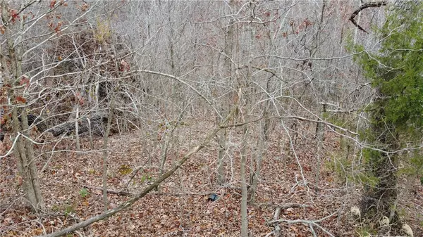 Bella Vista, AR 72714,3 Havant Cir