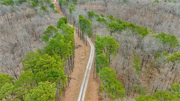 Rogers, AR 72756,Degroff Pl