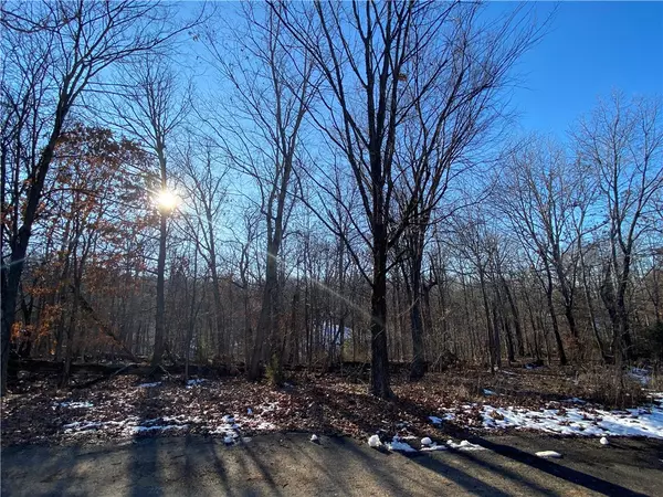 Bella Vista, AR 72715,Lot 14 Beaty Ln