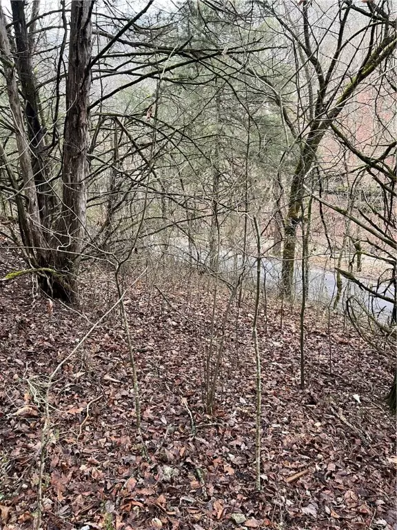 Eureka Springs, AR 72632,CR 148