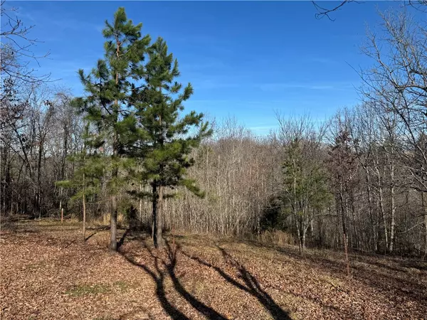 Yellville, AR 72687,178 Finley Ln