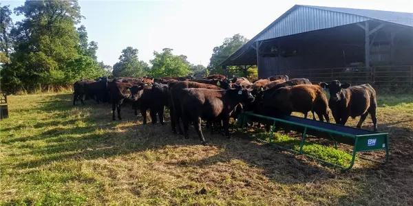 Compton, AR 72624,TBD County Road 1550
