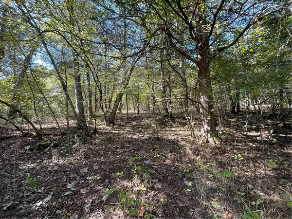 Holiday Island, AR 72631,63 Eagle Dr