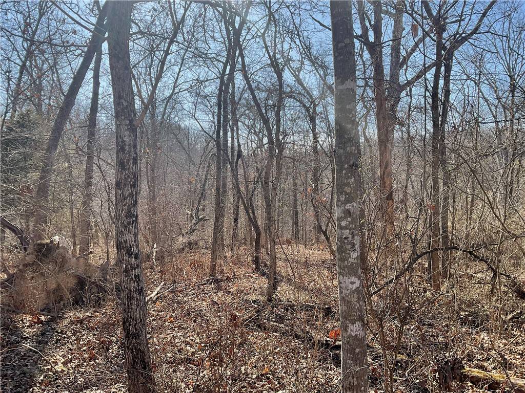 TBD Ettrick Ln, Bella Vista, AR 72715