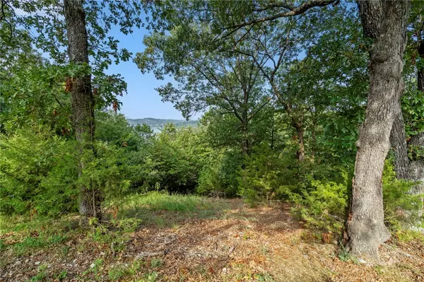 Eureka Springs, AR 72631,Lot 10 Hillcrest Rd
