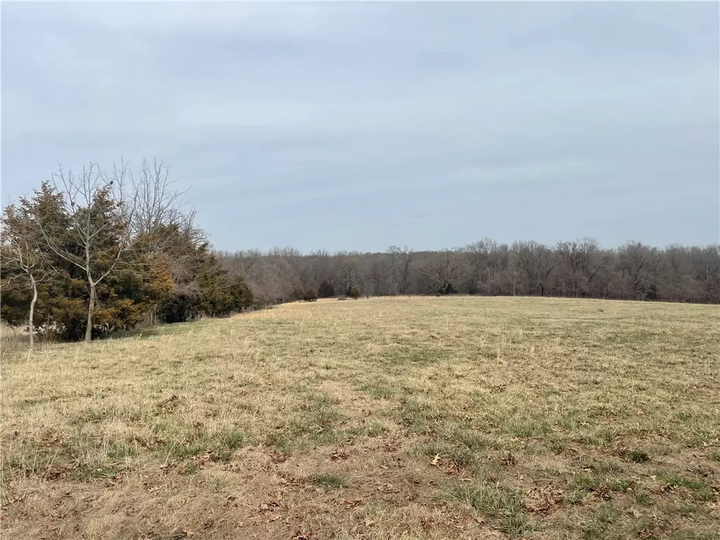 Stella, MO 64867,000 Mcdonald Rd