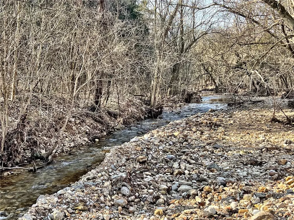 Lead Hill, AR 72644,019-02659-000 Downes Rd