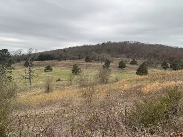 Lincoln, AR 72744,Tract D-1 Nicewarner Rd