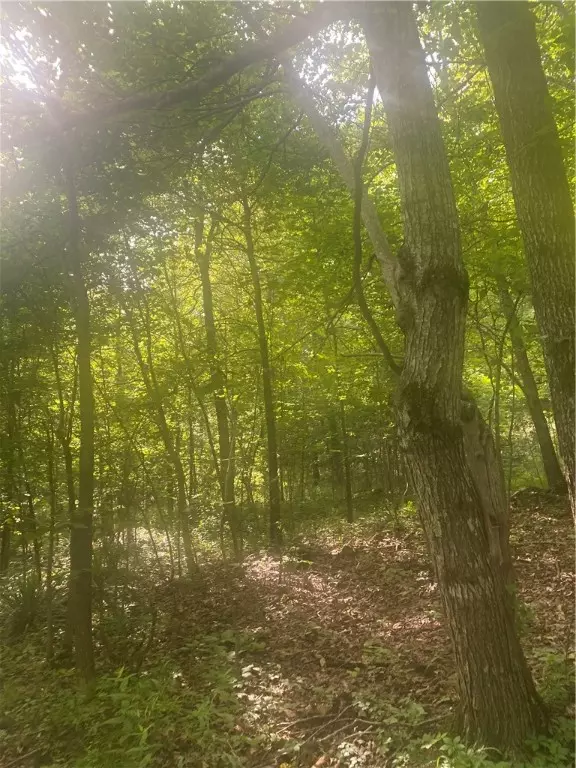 Pettigrew, AR 72752,1818 Madison 4805