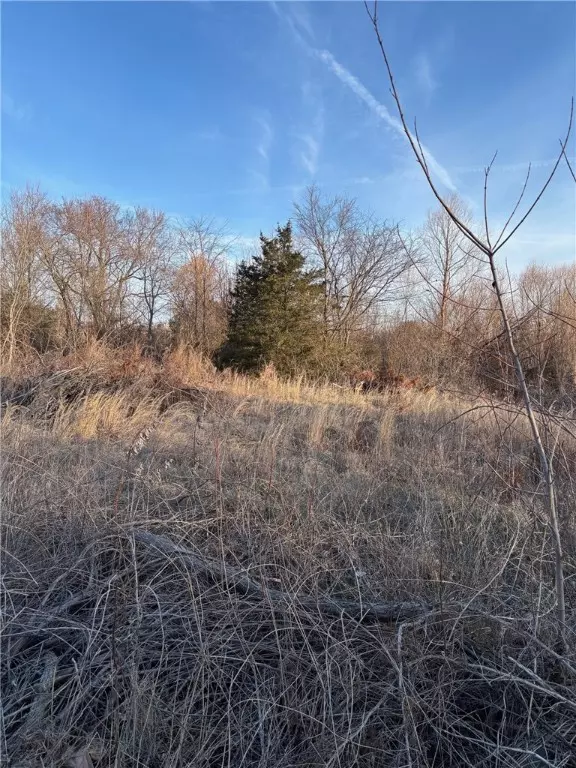 Green Forest, AR 72638,TBD Lot 6 Redbud St