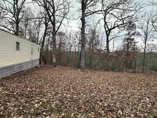 Clarkridge, AR 72623,23 Jayda Ln