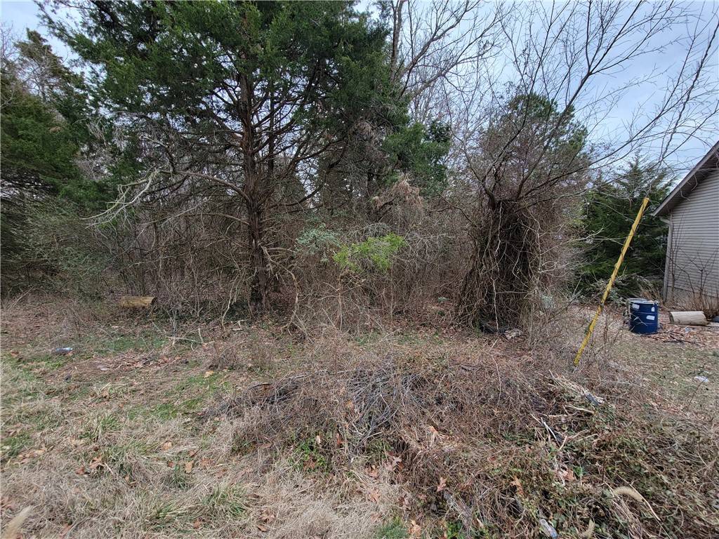 Bella Vista, AR 72714,Lot 4 Borle Cir
