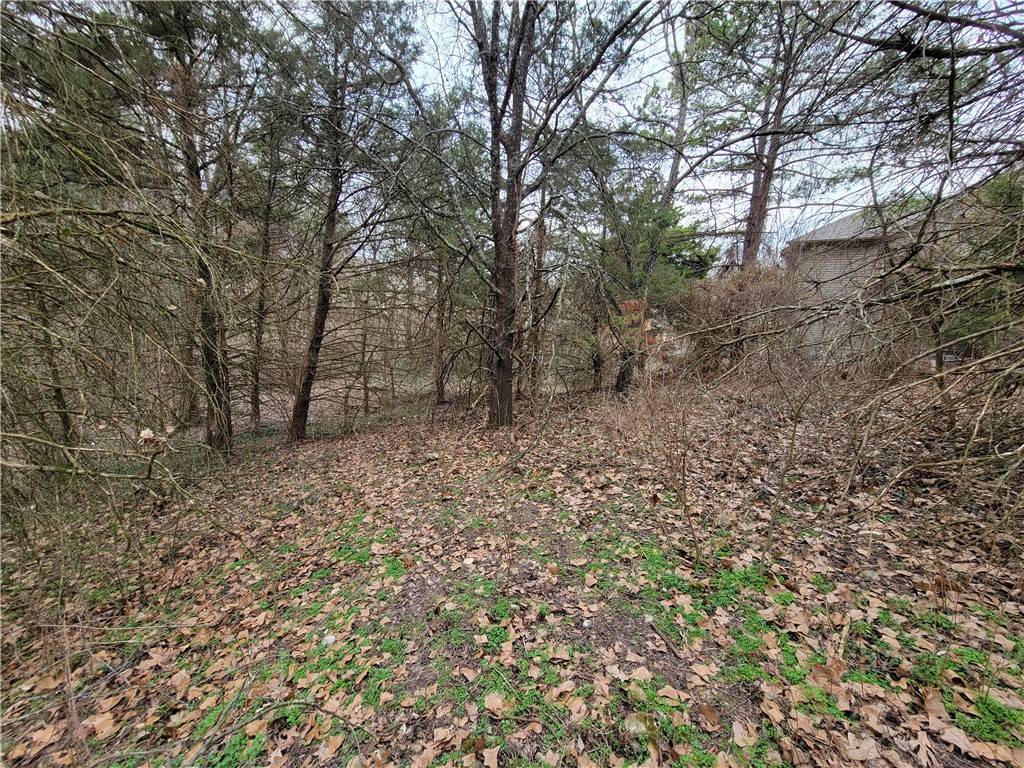 Bella Vista, AR 72714,Lot 4 Borle Cir