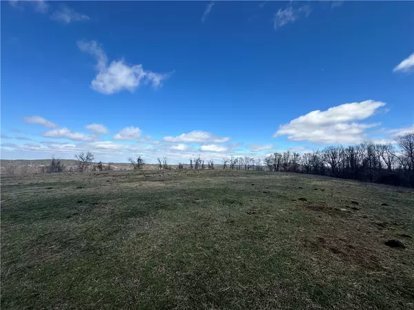 Berryville, AR 72616,1061 County Road 731