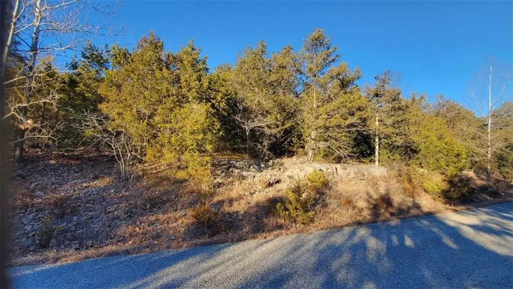 Holiday Island, AR 72631,7 Arapaho Dr