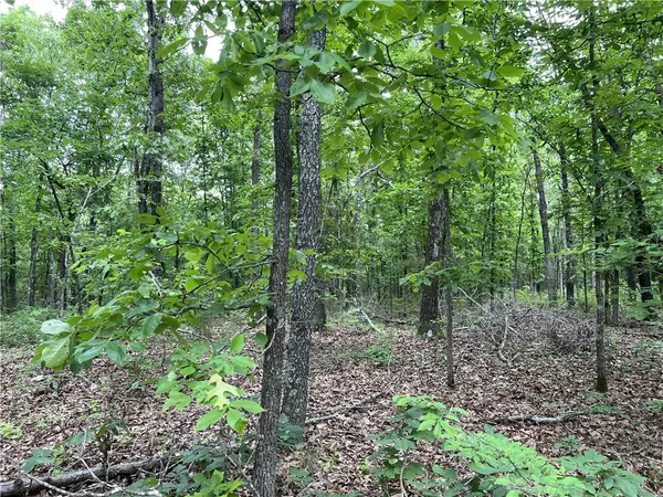 Harrison, AR 72601,21.58 Acres on Meadow Creek Dr