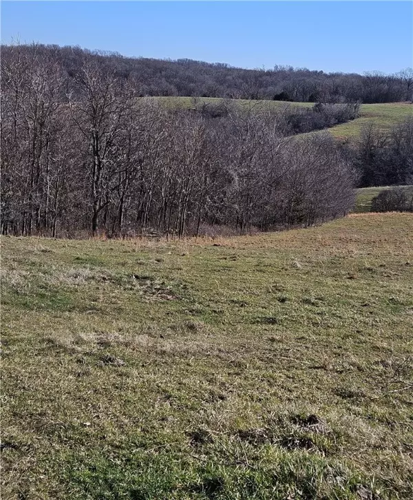 Noel, MO 64854,20.44 Acres Low Gap Rd