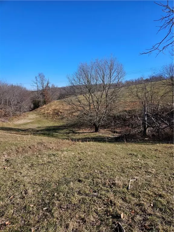 Noel, MO 64854,20.44 Acres Low Gap Rd