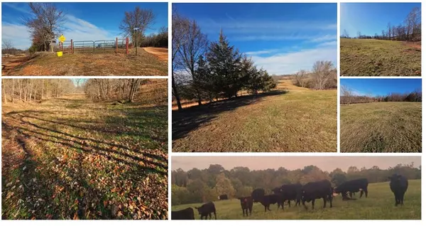 40.19 Acres Low Gap Rd, Noel, MO 64854