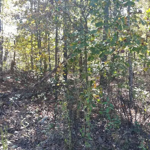 Bella Vista, AR 72715,Lot 9 Blk 1 Caithness Caithness Dr