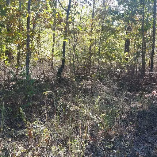 Bella Vista, AR 72715,Lot 9 Blk 1 Caithness Caithness Dr