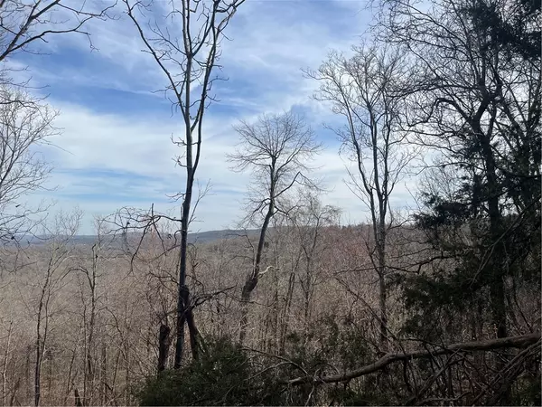 West Fork, AR 72774,Tract D TBD Wooton Rd
