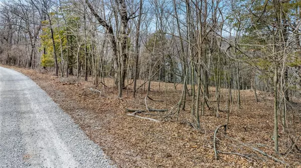Eureka Springs, AR 72632,Lot 38 Co Rd 1520