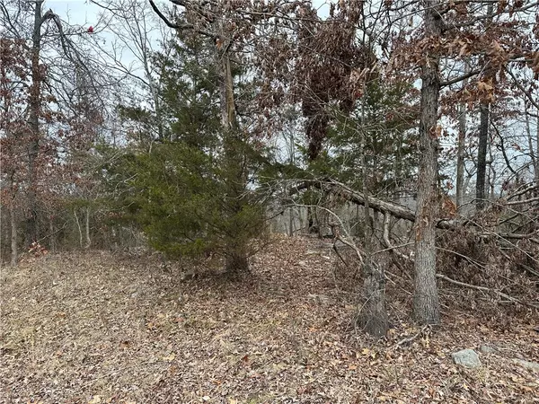 Yellville, AR 72687,Lot 4 Deer Meadows Ln