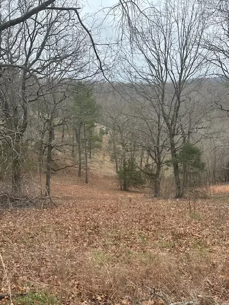 Lot 2 CR 152, Eureka Springs, AR 72632