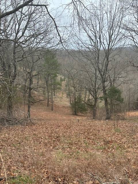 Eureka Springs, AR 72632,Lot 2 CR 152