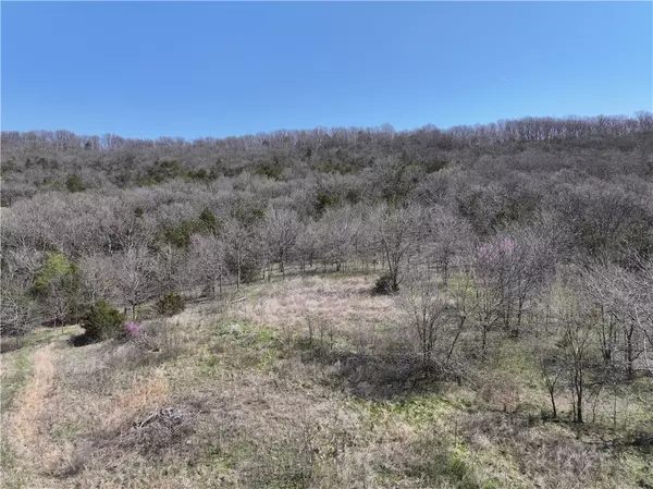 Berryville, AR 72616,205 County Road 4252