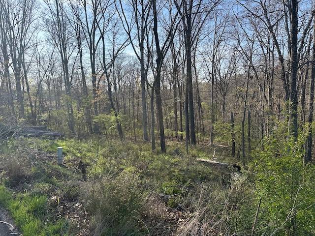 Bella Vista, AR 72715,Cheviot Cir