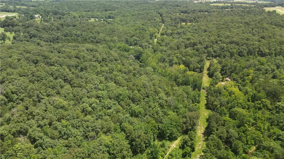 Pineville, AR 72566,881 Driftwood Dr