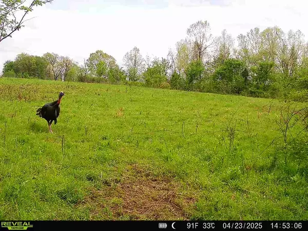 Gravette, AR 72736,Georgia Flat Rd