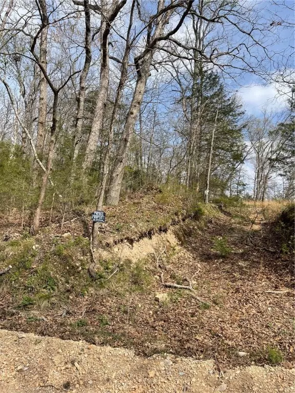 Seligman, MO 65745,5855 White Oak Rd