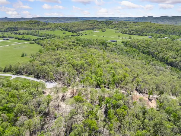 Mountain Home, AR 72653,White River Valley