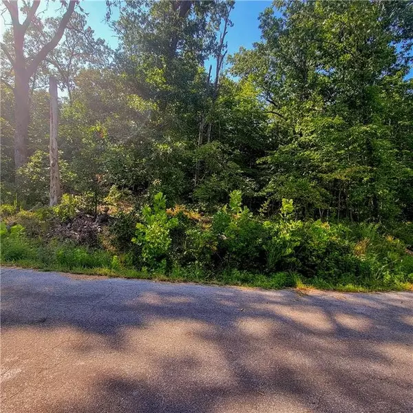 Bella Vista, AR 72715,Peebles Cir