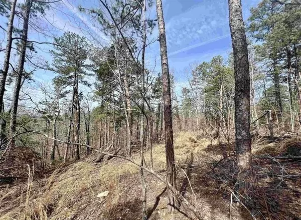 Yellville, AR 72687,Tract 6 Ramblewood Trl