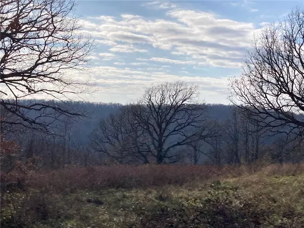 West Fork, AR 72774,13.32 acres Delgado Rd