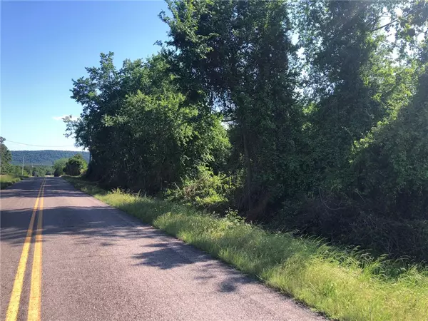 Hector, AR 72843,Rock Hollow Rd